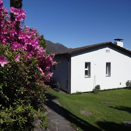 Residenza Paradiso Di Vacanze Minusio Экстерьер фото