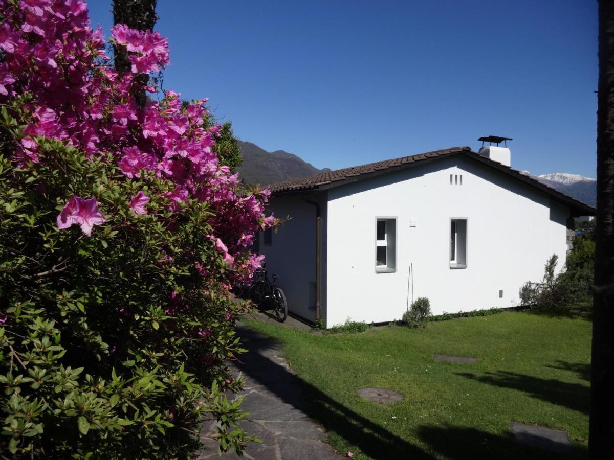 Residenza Paradiso Di Vacanze Minusio Экстерьер фото