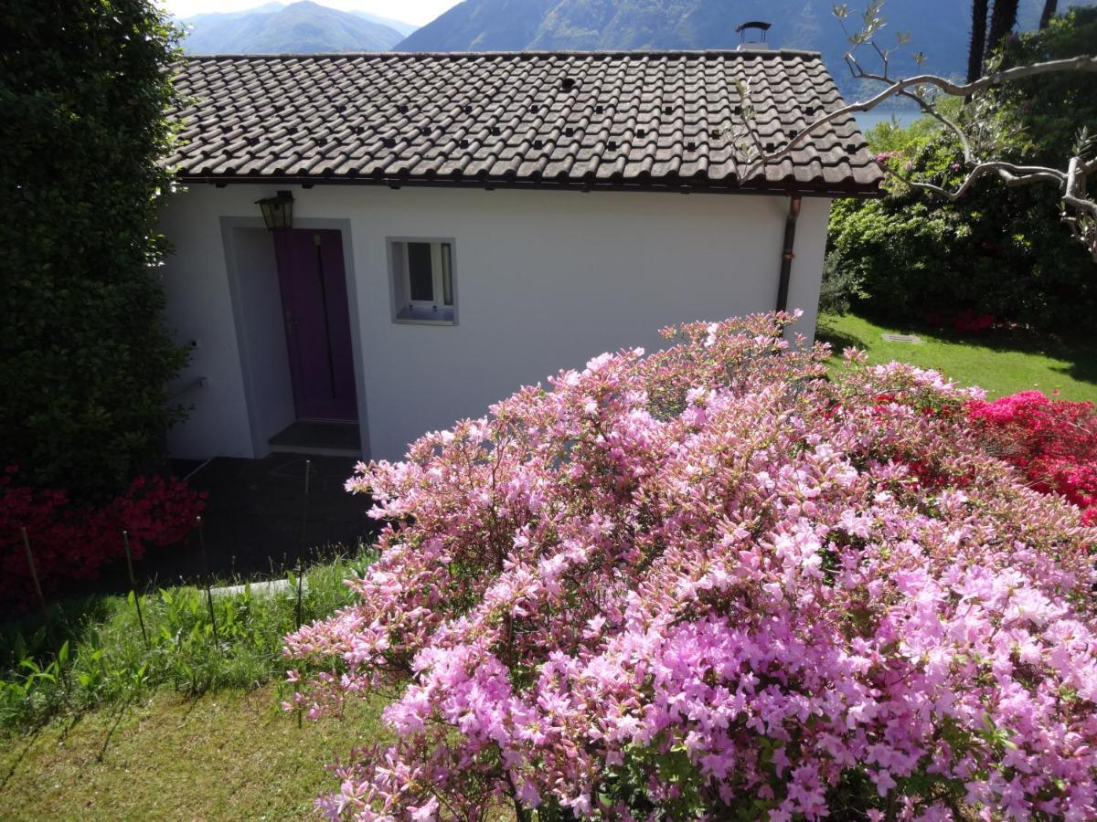 Residenza Paradiso Di Vacanze Minusio Экстерьер фото