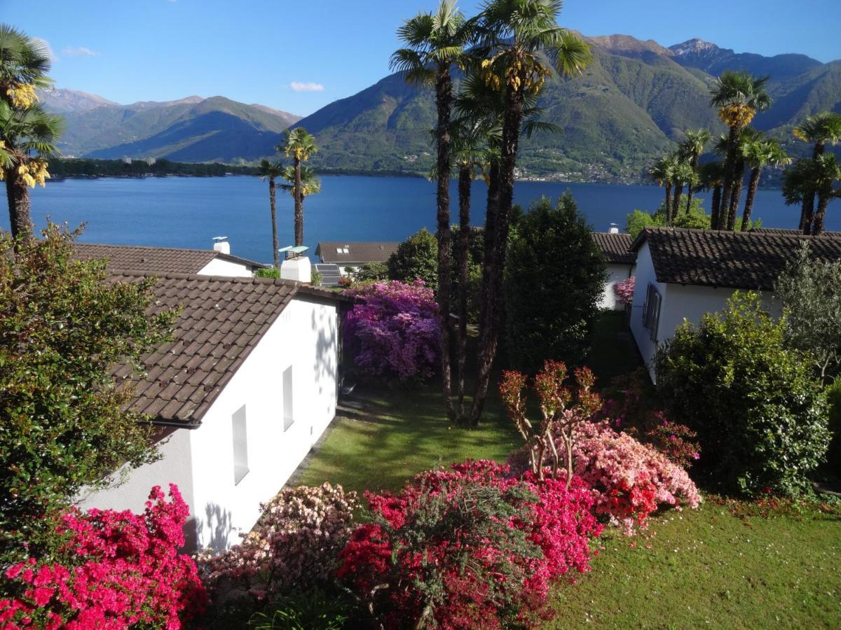 Residenza Paradiso Di Vacanze Minusio Экстерьер фото