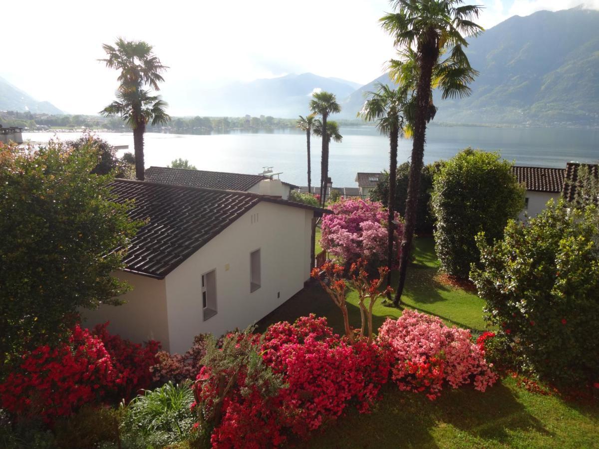 Residenza Paradiso Di Vacanze Minusio Экстерьер фото