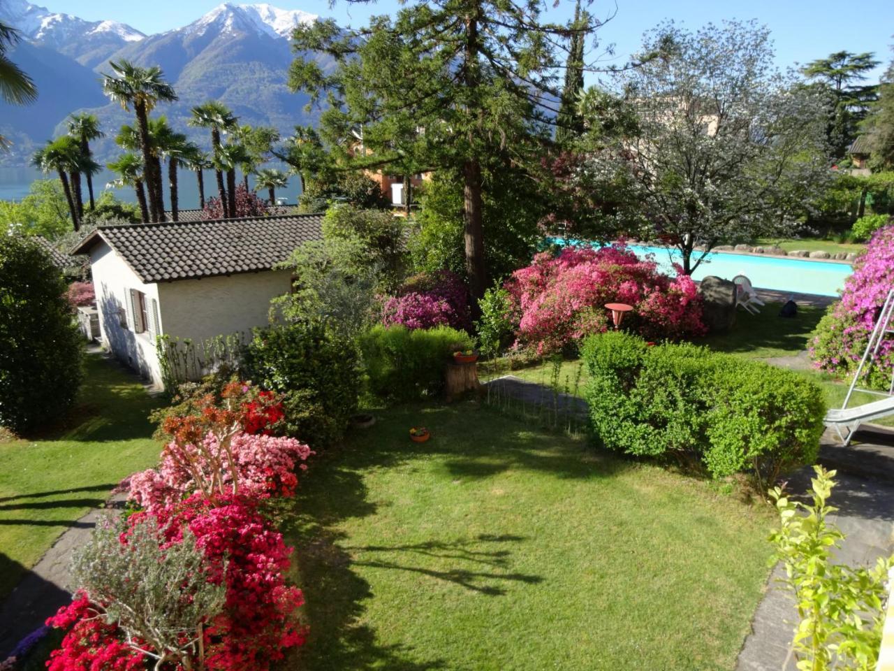 Residenza Paradiso Di Vacanze Minusio Экстерьер фото